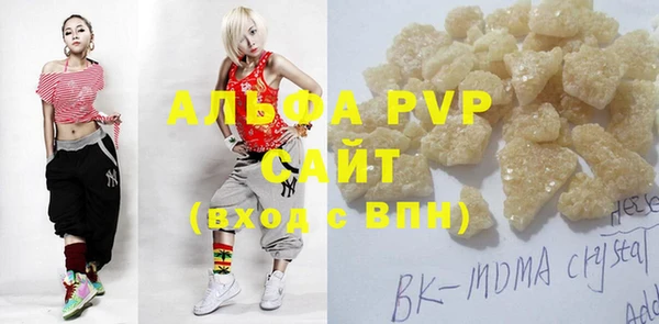 прущие грибы Вязьма