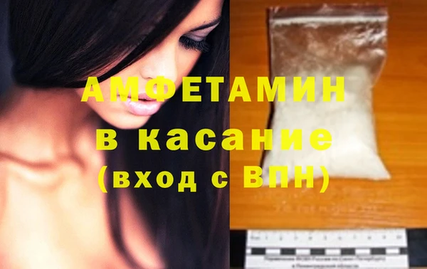 прущие грибы Вязьма