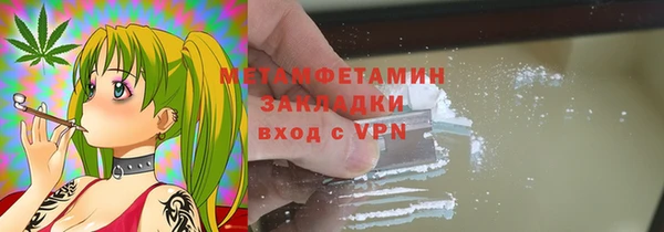 прущие грибы Вязьма