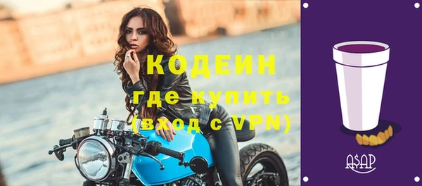 прущие грибы Вязьма