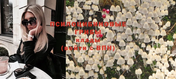 прущий лед Вяземский