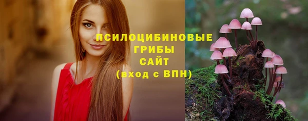прущий лед Вяземский