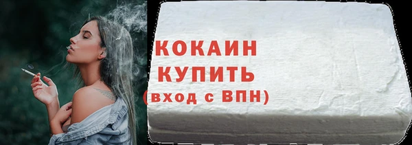 прущий лед Вяземский