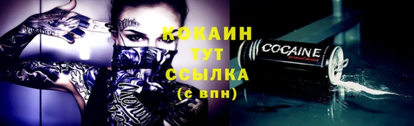 прущий лед Вяземский