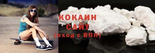 прущие грибы Вязьма