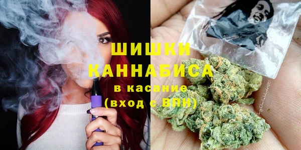 прущий лед Вяземский