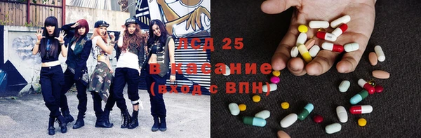 прущий лед Вяземский