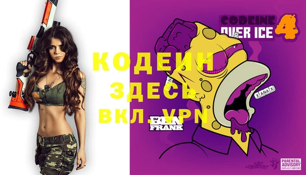 прущие грибы Вязьма