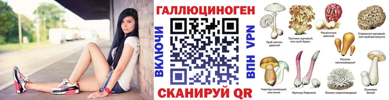 Галлюциногенные грибы MAGIC MUSHROOMS  где купить наркоту  сайты даркнета состав  Владимир 