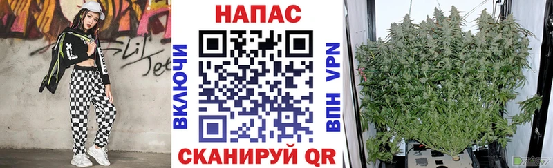 Марихуана White Widow  где найти наркотики  Владимир 
